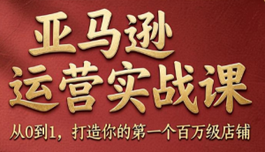 skyla·亚马逊运营实战课(更新7月)-沧海聊项目