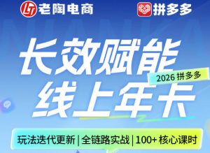 拼多多线上SVIP线上年卡，从认知到基础、从推广到活动、从活动到玩法，全链路实战(260730)-沧海聊项目