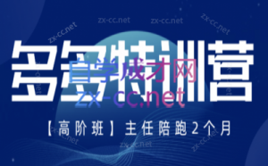 纪主任·拼多多特训营(更新8月)-沧海聊项目