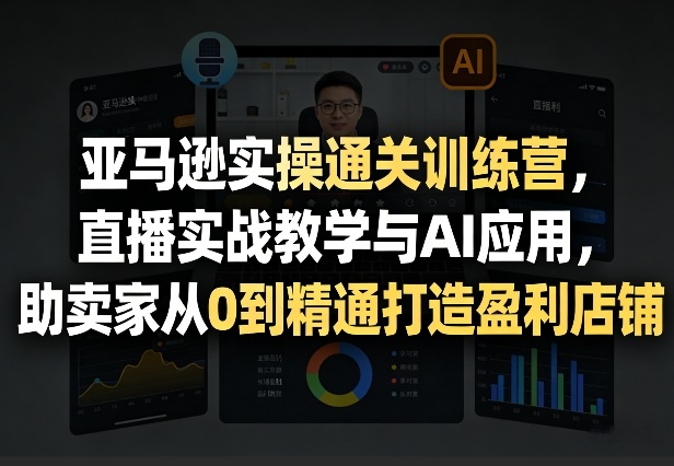 亚马逊实操通关训练营，直播实战教学与AI应用，助卖家从0到精通打造盈利店铺(更新8月8日)-沧海聊项目