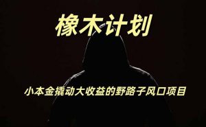 橡木计划，小投入撬动高回报的风口野路子项目，一天投入2小时左右-沧海聊项目