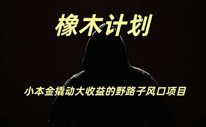 橡木计划，小投入撬动高回报的风口野路子项目，一天投入2小时左右-沧海聊项目