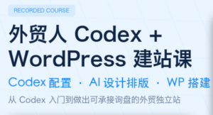 大卫·外贸人Codex + WordPress建站课(更新8月)-沧海聊项目