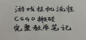 游戏挂机全流程笔记分享，CSGO游戏搬砖，小白看了当天学会见收益-沧海聊项目