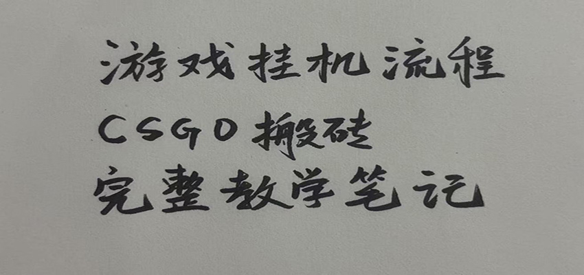 游戏挂机全流程笔记分享，CSGO游戏搬砖，小白看了当天学会见收益-沧海聊项目