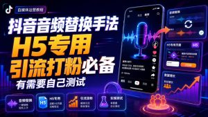 抖音音频替换手法H5专用，引流打粉必备，有需要自己测试-沧海聊项目