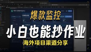 抖音爆款数据监控工具_海外网盘拉新渠道-沧海聊项目