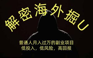 解密海外掘U，普通人月入过万的副业项目，低投入、低风险高回报，没有之一-沧海聊项目