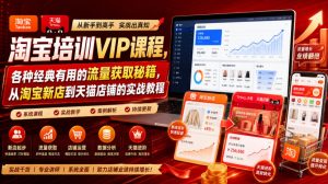 淘宝培训VIP课程，各种经典有用的流量获取秘籍，从淘宝新店到天猫店铺的实战教程(更新08月12日)-沧海聊项目