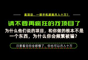 为什么做项目的人大多都是炮灰？为什么只有卖项目才能稳？看完你也可以月入10W+【揭秘】-沧海聊项目