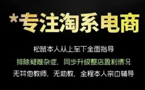 松鼠会电商VIP课程，从基础布局到高阶优化，助你掌握淘宝运营逻辑，提升店铺流量与转化(更新0815)-沧海聊项目
