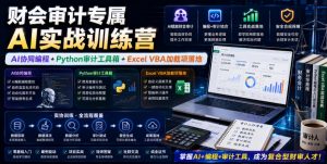 财会审计专属AI实战训练营｜AI协同编程+Python审计工具箱+Excel VBA加载项落地(更新0816)-沧海聊项目