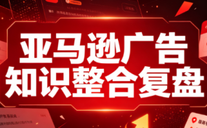 阿浩·亚马逊广告知识整合复盘-沧海聊项目