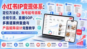 小红书IP变现体系：定位方法论、账号起号流程、合规引流、直播SOP、多赛道案例复盘与产品矩阵设计完整教学-沧海聊项目