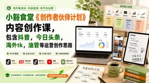 小豁食堂《创作者伙伴计划》内容创作课，包含抖音，今日头条，海外tk，油管等运营创作思路-沧海聊项目