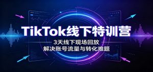 TikTok线下特训营：3天线下现场回放，解决账号流量与转化难题-沧海聊项目