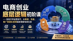 电商创业底层逻辑初阶课——告别只学运营技巧，从赛道、货盘、推广到团队管理重新理解电商生意-沧海聊项目