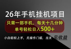长期稳定可做，只需一部手机！单号轻松日入500+，不搞套路，只讲干货！【揭秘】-沧海聊项目
