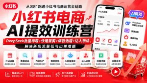 小红书电商AI提效训练营—DeepSeek批量标题+快速混剪+爆款选题+达人玩法，解决新店流量低与出单难题-沧海聊项目
