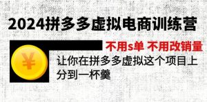 （11525期）2024拼多多虚拟电商训练营 不用s单 不用改销量  在拼多多虚拟上分到一杯羹-沧海聊项目