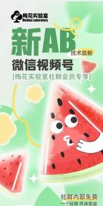 梅花实验室2024年AB技术视频号AB合成破解版-沧海聊项目