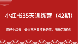 小红书35天训练营（42期）-用好小红书，做你喜欢又擅长的事，涨粉又赚钱！-沧海聊项目