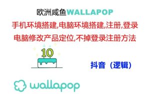 （11549期）wallapop整套详细闭环流程：最稳定封号率低的一个操作账号的办法-沧海聊项目