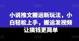小说推文搬运新玩法，小白轻松上手，搬运发视频让搞钱更简单-沧海聊项目