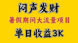 （11558期）闷声发财，假期大流量项目，单日收益3千+ ，拿出执行力，两个月翻身-沧海聊项目