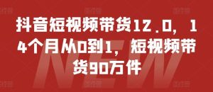 抖音短视频带货12.0,14个月从0到1,短视频带货90万件-沧海聊项目