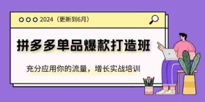 2024拼多多单品爆款打造班,充分应用你的流量,增长实战培训(更新6月)-沧海聊项目