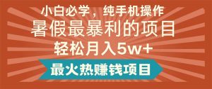 （11583期）小白必学，纯手机操作，暑假最暴利的项目轻松月入5w+最火热赚钱项目-沧海聊项目