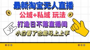 （11586期）最新淘宝无人直播 公域+私域玩法打造真正的日不落直播间 小白看了也能…-沧海聊项目