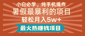 2024暑假最赚钱的项目,简单无脑操作,每单利润最少500+,轻松月入5万+-沧海聊项目