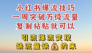 小红书爆流技巧,一周突破万级流量,复制粘贴就可以,引流爆流变现【揭秘】-沧海聊项目