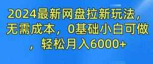 2024最新网盘拉新玩法，无需成本，0基础小白可做，轻松月入6000+【揭秘】-沧海聊项目