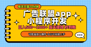 （11645期）小程序开发 广告赚钱 日入500~1000+ 小白轻松上手！-沧海聊项目