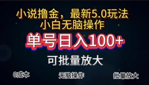 （11651期）全自动小说撸金，单号日入100+小白轻松上手，无脑操作-沧海聊项目