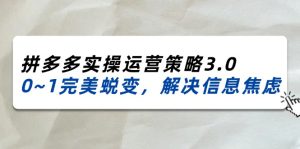 (11658期)2024_2025拼多多实操运营策略3.0,0~1完美蜕变,解决信息焦虑(38节)-沧海聊项目