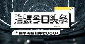 （11665期）撸爆今日头条 简单无脑操作 日收2000+-沧海聊项目