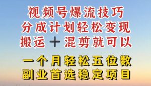视频号爆流技巧，分成计划轻松变现，搬运 +混剪就可以，一个月轻松五位数稳定项目【揭秘】-沧海聊项目