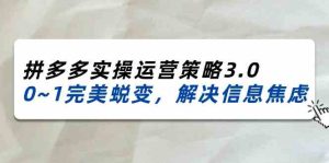 2024-2025拼多多实操运营策略3.0,0~1完美蜕变,解决信息焦虑(38节)-沧海聊项目