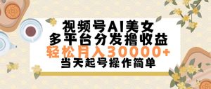 （11684期）视频号AI美女，轻松月入30000+,操作简单轻松上手-沧海聊项目