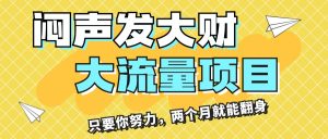 （11688期）闷声发大财，大流量项目，月收益过3万，只要你努力，两个月就能翻身-沧海聊项目