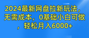 2024最新网盘拉新玩法，无需成本，0基础小白可做，轻松月入6000+-沧海聊项目