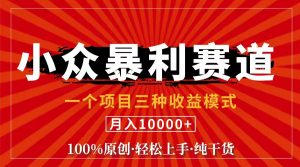 （11695期）视频号【中老年粉深信不疑】小众赛道 100%原创 手把手教学 新号3天收益…-沧海聊项目