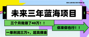 （11716期）未来三年，蓝海赛道，月入3万+-沧海聊项目