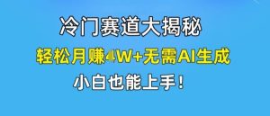 冷门赛道大揭秘，轻松月赚1W+无需AI生成，小白也能上手【揭秘】-沧海聊项目