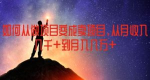 如何从做项目变成卖项目，从月收入几千到月入几万【揭秘】-沧海聊项目