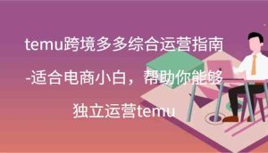 temu跨境多多综合运营指南-适合电商小白，帮助你能够独立运营temu(44节)-沧海聊项目